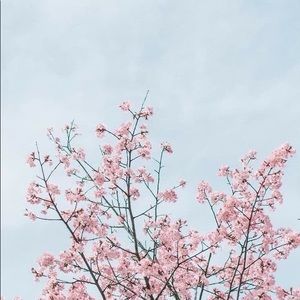 Meet your Posher, Laurence